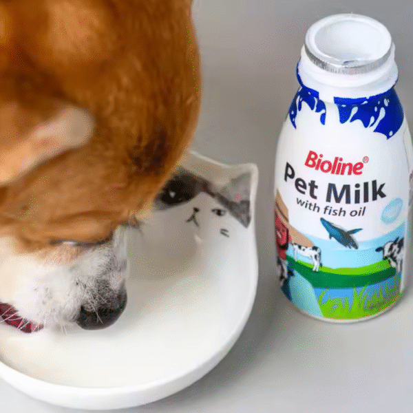6970117127096-Bioline Pet Milk with Fish Oil for Cats & Dogs 220ml-4