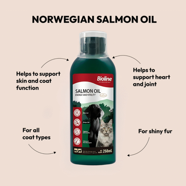 6970117127164-Bioline Norwegian Salmon Oil 250ml-2