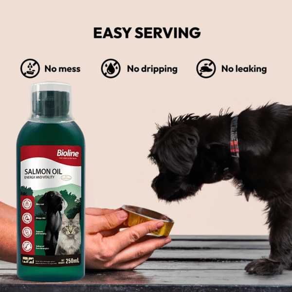 6970117127164-Bioline Norwegian Salmon Oil 250ml-3