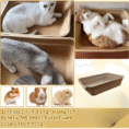 Bioline Disposable Cat Litter Basin 40x30x10cm-7