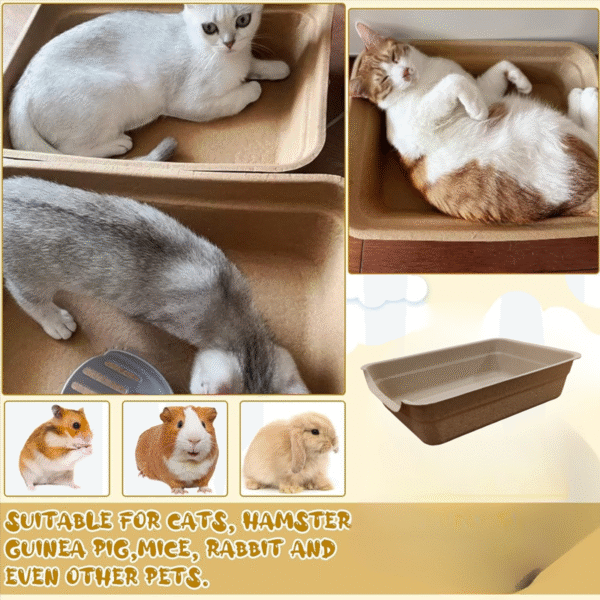 Bioline Disposable Cat Litter Basin 40x30x10cm-7