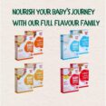 Simply Fils Baby cereals with Milk 4 Grains & 4 Vegetables, 250g, 10 Single-Serve Sachets, 6-36 Months