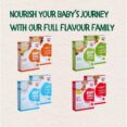 Simply Fils Millets & 4 Fruits Baby Cereal with Milk, 250g, 10 Single-Serve Sachets, 6-36 Months