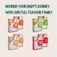 Simply Fils Baby cereals with Milk & Jasmine Rice, 10 Single-Serve Sachets, 250g, 6-36 Months